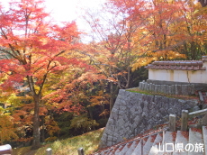 西念寺の紅葉