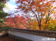西念寺の紅葉