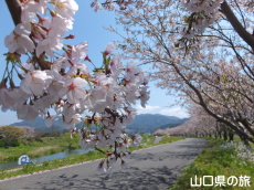 �ό��͐�����̍�����