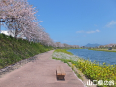 �ό��͐�����̍�����