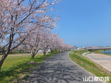 �ό��͐�����̍�����