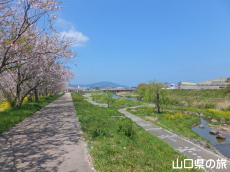 �ό��͐����