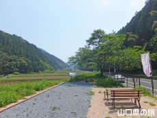 桜楓山荘