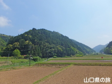 楫取山