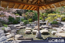 河川公園の足湯