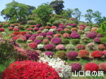 熊野山公園