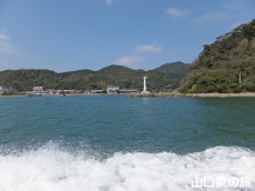 唑n