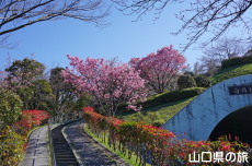 �݂��U�����̗z����