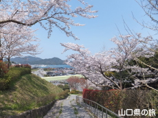 �݂��U�����̍�