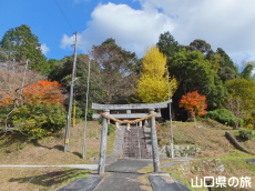 大歳神社の紅葉