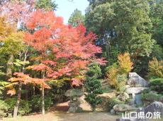 大歳神社の紅葉