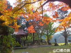大歳神社の紅葉