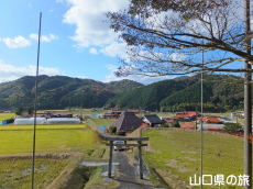 大歳神社の紅葉
