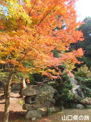 大歳神社の紅葉