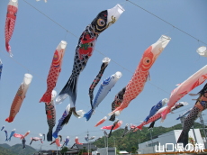 �m�ۂ̂����̂ڂ�