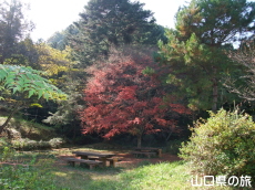 深谷公園
