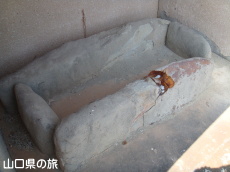 唻RÕΊ