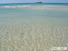 �y�䃖�l�C������