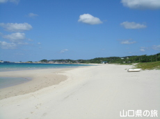 �y�䃖�l�C������