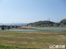 �؉��색�u���o�[�p�[�N