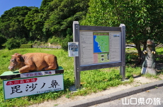毘沙ノ鼻