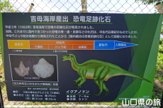 毘沙ノ鼻