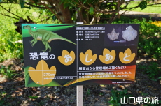 毘沙ノ鼻
