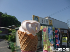梅ソフトクリーム