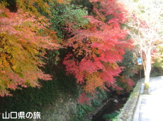 鉺{̍gt