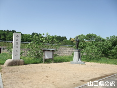 ����w����