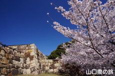 �֌�������̍�