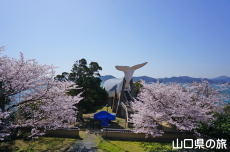 �֌�������̍�