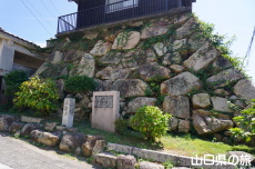 �����Ί_��