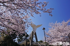 ������قƍ�