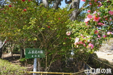 ���s���̎R����