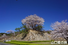 ���R��a�Ղ̍�