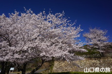 ���R��a�Ղ̍�