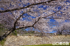 ���R��a�Ղ̍�