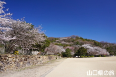 ���R��a�Ղ̍�