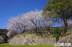 ���R��a�Ղ̍�