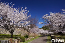 ���R��a�Ղ̍�