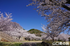 ���R��a�Ղ̍�