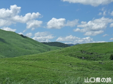 若竹山から見る秋吉台