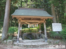 �s�V�����̐�