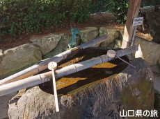 �s�V�����̐�