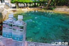 �ٓV�r�ƃ~�l�����E�I�[�^�[