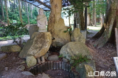 �ٍ��V�i���_�j