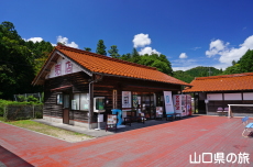 �H�F�������Y�i������