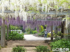 �������̓��I