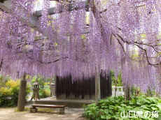 �������̓��I